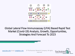 Lateral Flow Immunoassay (LFIA) Based Rapid Test Market Estimation, Growth Size And Emerging Trends