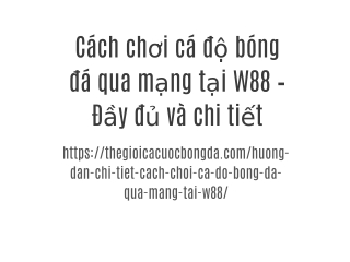 Cách chơi cá độ bóng đá qua mạng tại W88 – Đầy đủ và chi tiết