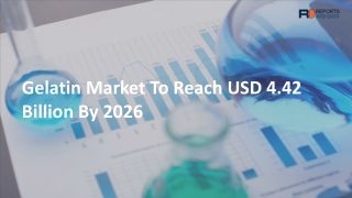 Gelatin Market to Deliver Greater Revenues during the Forecast Period until 2027