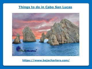 Things to do in Cabo San Lucas