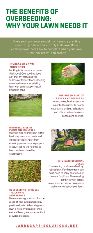 The Benefits of Overseeding:  Why Your Lawn Needs It