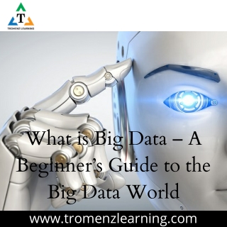 What is Big Data – A Beginner’s Guide to the Big Data World