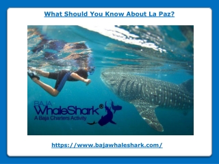 What Should You Know About La Paz