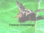 Forensic Entomology