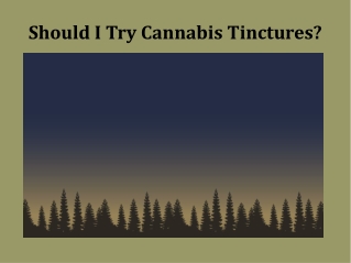 Should I Try Cannabis Tinctures?
