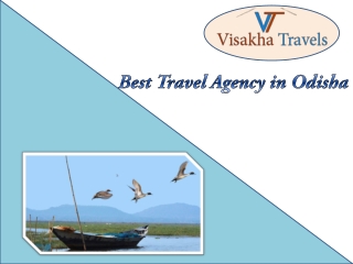 Best Travel Agency in Odisha, India - Visakha Travels