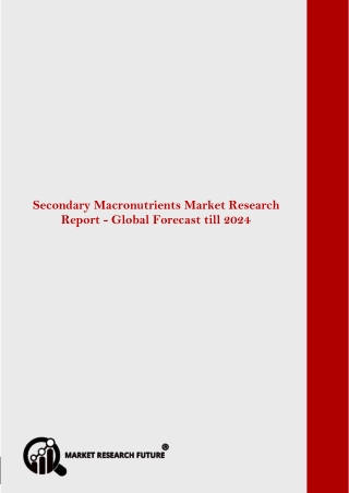 Global Secondary Macronutrients Market Research Report- Forecast till 2024