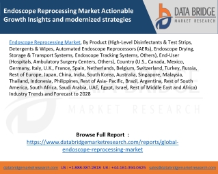 Endoscope Reprocessing Market Actionable Growth Insights and modernized strategies