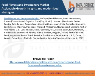 Feed Flavors and Sweeteners Market Actionable Growth Insights and modernized strategies