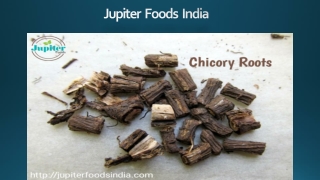 Jupiter Foods is one of the main leading chicory food industries in Etah, UP