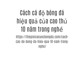 Cách cá độ bóng đá hiệu quả của cao thủ 10 năm trong nghề