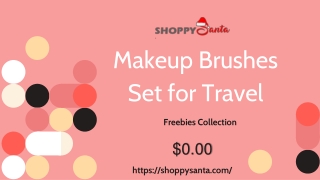 Makeup Brushes Set for Travel Online at ShoppySanta