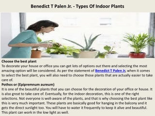 Benedict T Palen Jr. - Types Of Indoor Plants