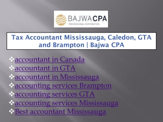 accountant in Mississauga