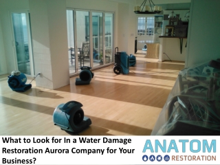 What to Look for in Water Damage  Restoration Aurora Company for Your Business?