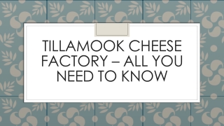 Tillamook Cheese Factory – All You Need to Know
