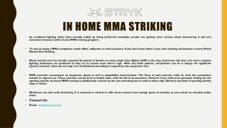 In Home MMA Striking