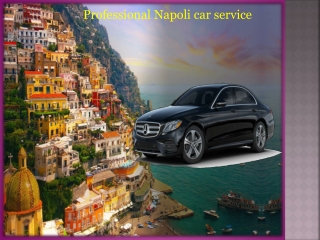 Professional Napoli car service