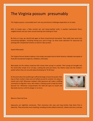 The Virginia possum  presumably