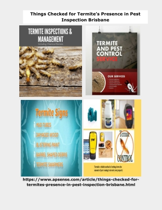 Things Checked for Termite’s Presence in Pest Inspection Brisbane