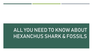 All You Need To Know About Hexanchus Shark & Fossils