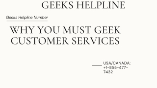 Why You Must Geek Customer Services