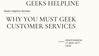 Why You Must Geek Customer Services