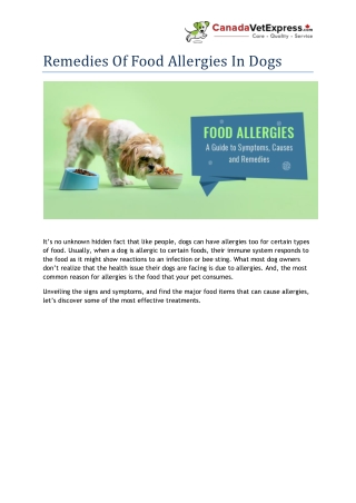 Remedies Of Food Allergies In Dogs - CanadaVetExpress