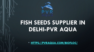 Fish Seeds supplier in Delhi-PVR AQUA