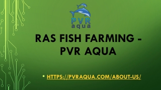 RAS Fish Farming -PVR AQUA