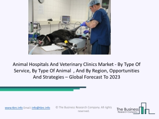 Global Animal Hospitals And Veterinary Clinics Market Growth And Trends In 2020