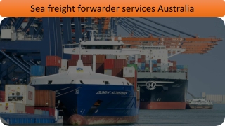 Customised Sea Freight Solutions