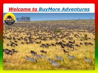 Reasons to Endeavor Masai Mara Migration Safari Once in a Lifetime