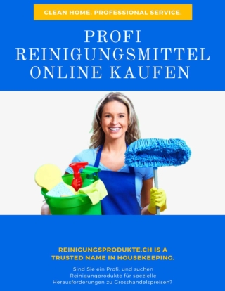 Profi Reinigungsmittel Online kaufen