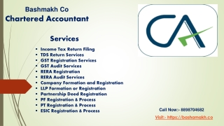 chartered accountant