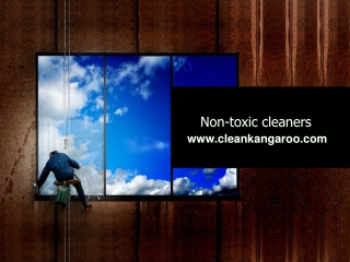 Non-toxic cleaners-www.cleankangaroo.com