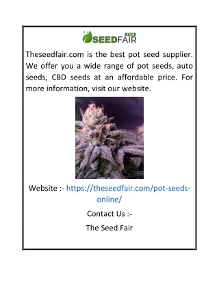 Pot Seeds | Theseedfair.com