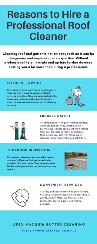 Reasons to Hire a Professional Roof Cleaner