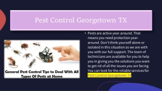 Pest Control Georgetown TX offers effective and affordable Services