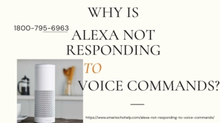 Alexa Not Responding 1-8007956963 Alexa Device Unresponsive -Fix Now