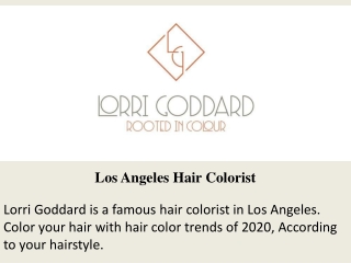 Los Angeles Hair Colorist