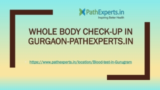 Whole Body Check-up in Gurgaon-Pathexperts.in