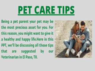 PET CARE TIPS