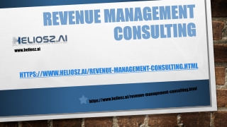 Revenue Management Consulting