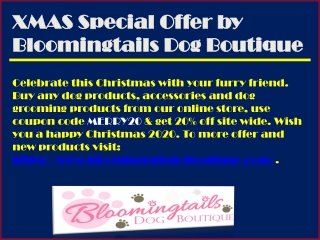 Xmas Exciting Offer by Bloomingtails Dog Boutique