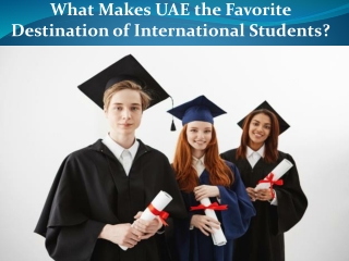 What makes the UAE attractive to international students?
