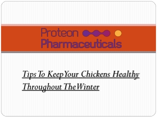 Tips To Keep Your Chickens Healthy Throughout The Winter