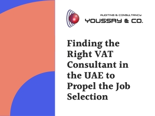 Finding the Right VAT Consultant in the UAE to Propel the Job Selection