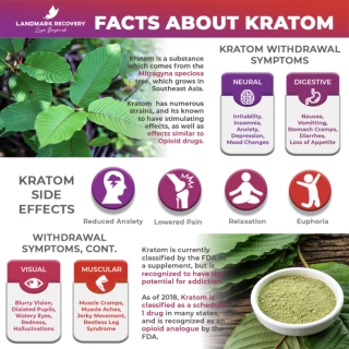 WHAT DOES KRATOM DO..!!