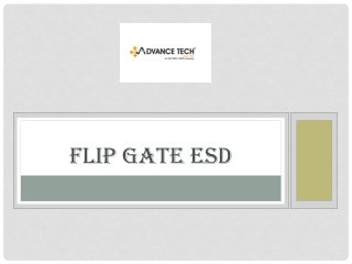 Flip Gate ESD - Buy  Online at Best Prices In Delhi